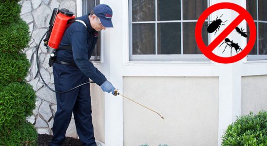 Eskifoça Uçan Haşere İlaçlama böcek ilaçlama ve haşere kontrolü — ilaclama-tr.com
